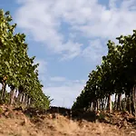 Bed & Breakfast Terre Di Baccio 4*