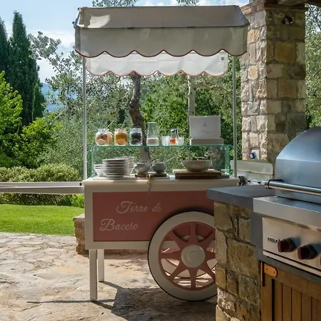 Terre Di Baccio Oda ve Kahvaltı Greve in Chianti