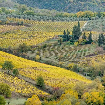 Terre Di Baccio Bed & Breakfast