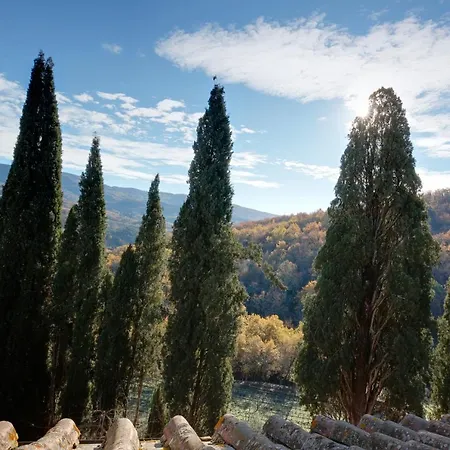 فندق مبيت وإفطار Terre Di Baccio 4*