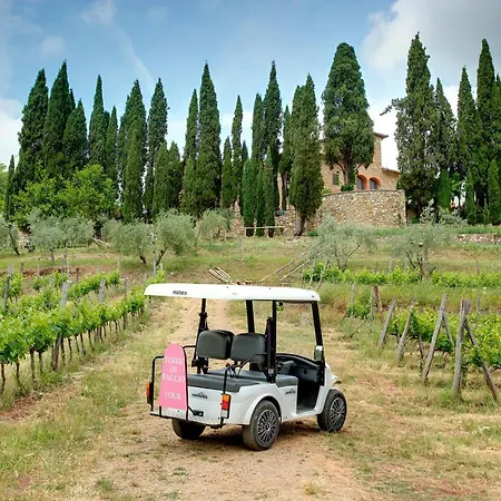 Terre Di Baccio Bed & Breakfast Greve in Chianti