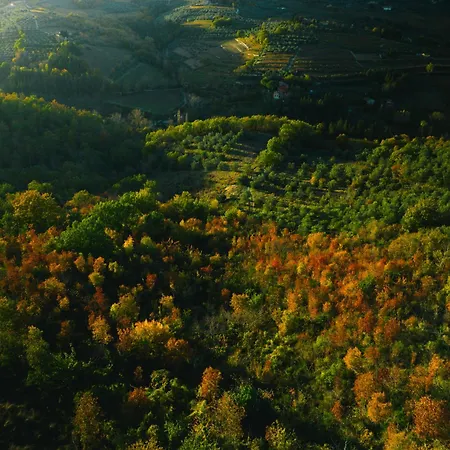 Terre Di Baccio B&B