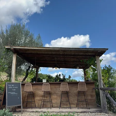 Terre Di Baccio