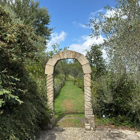Terre Di Baccio
