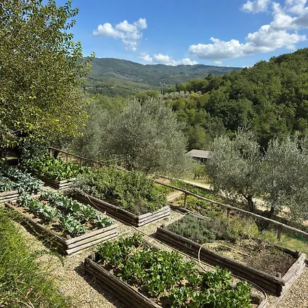 Terre Di Baccio Nocleg ze śniadaniem 4*