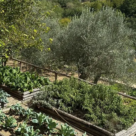 Terre Di Baccio Acomodação com café da manhã  Greve in Chianti