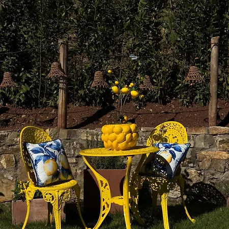 فندق مبيت وإفطار Terre Di Baccio غريفي ان شنتي