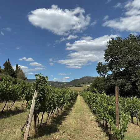 Terre Di Baccio Acomodação com café da manhã  4*