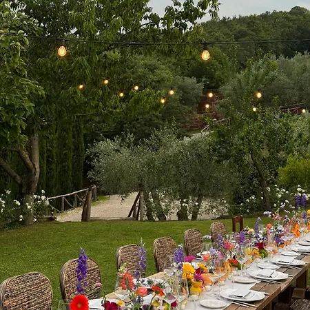 Terre Di Baccio 4* غريفي ان شنتي