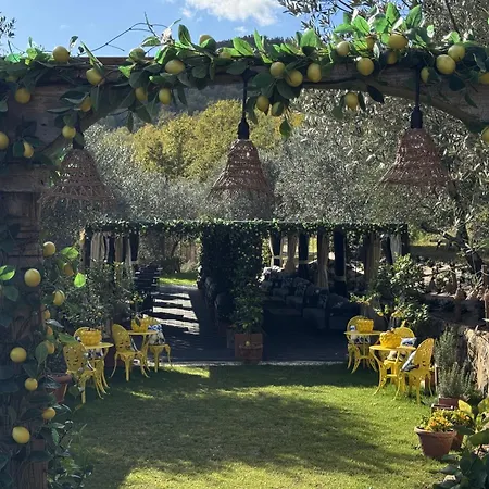 فندق مبيت وإفطار Terre Di Baccio غريفي ان شنتي