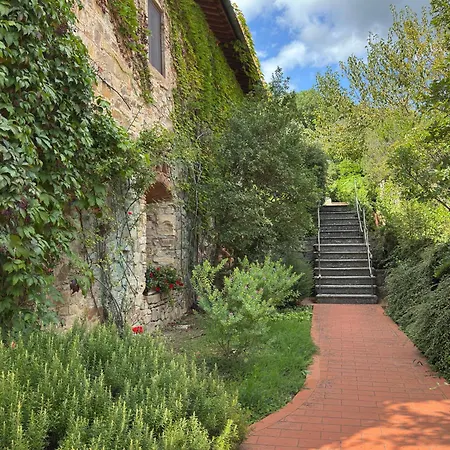 Terre Di Baccio غريفي ان شنتي